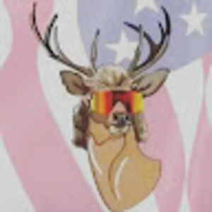 Meet your Posher, Hailee